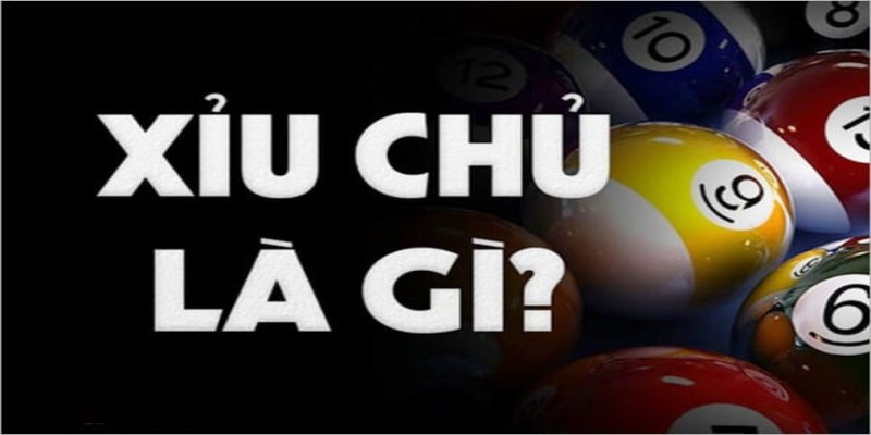 Xỉu Chủ Là Gì? Giải Thích Rõ Ràng Và Cách Hiểu Đúng